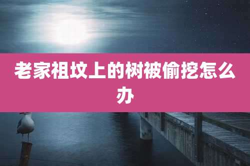 老家祖坟上的树被偷挖怎么办