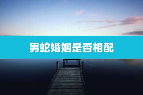 男蛇婚姻是否相配