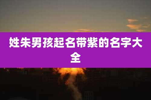 姓朱男孩起名带紫的名字大全