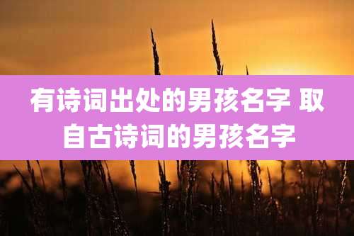 有诗词出处的男孩名字 取自古诗词的男孩名字