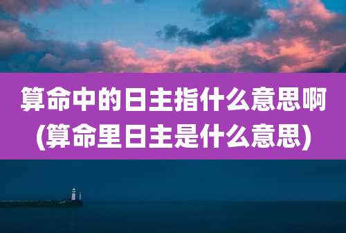 算命中的日主指什么意思啊(算命里日主是什么意思)