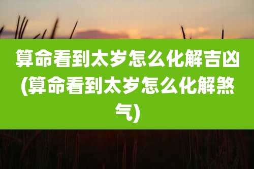 算命看到太岁怎么化解吉凶(算命看到太岁怎么化解煞气)