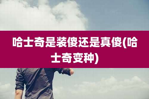 哈士奇是装傻还是真傻(哈士奇变种)