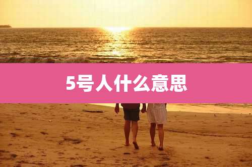5号人什么意思
