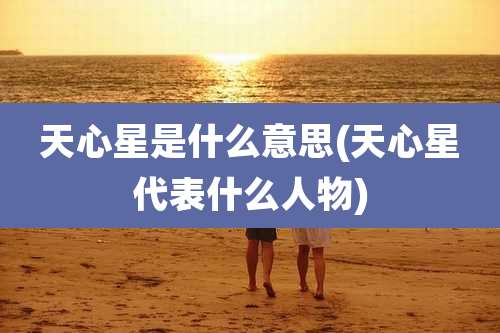 天心星是什么意思(天心星代表什么人物)