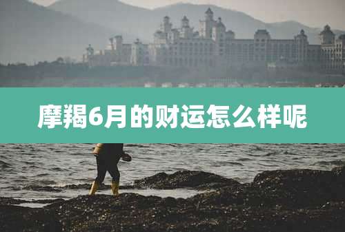 摩羯6月的财运怎么样呢