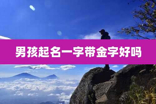 男孩起名一字带金字好吗