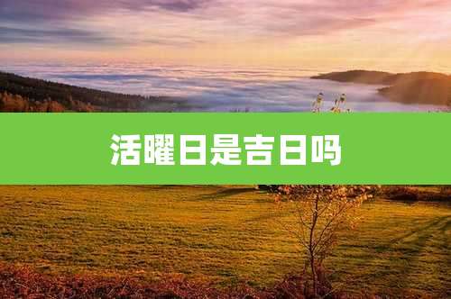 活曜日是吉日吗
