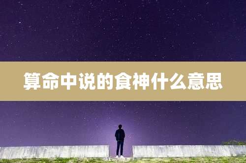 算命中说的食神什么意思