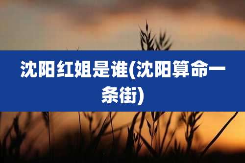 沈阳红姐是谁(沈阳算命一条街)