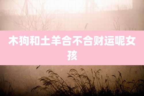 木狗和土羊合不合财运呢女孩