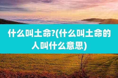 什么叫土命?(什么叫土命的人叫什么意思)