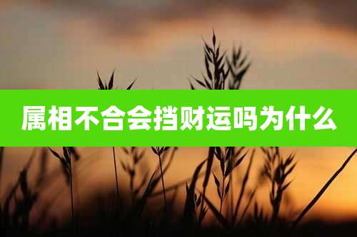 属相不合会挡财运吗为什么