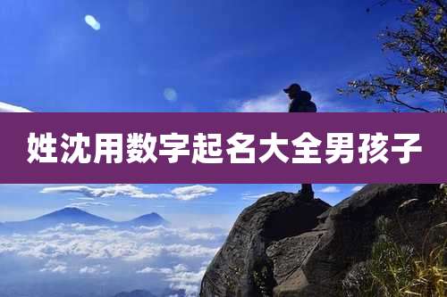 姓沈用数字起名大全男孩子