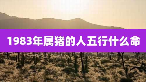 1983年属猪的人五行什么命