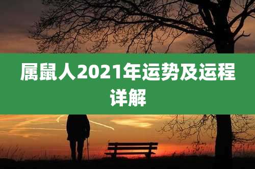 属鼠人2021年运势及运程详解