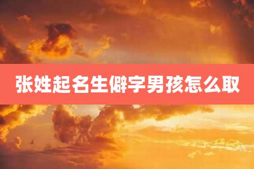 张姓起名生僻字男孩怎么取