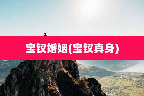 宝钗婚姻(宝钗真身)