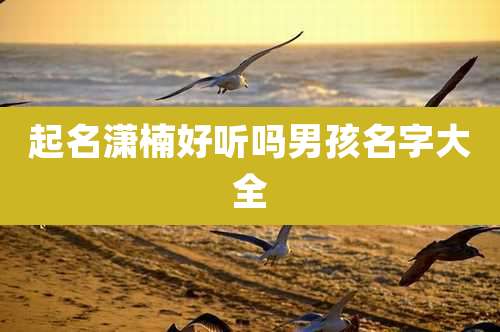 起名潇楠好听吗男孩名字大全