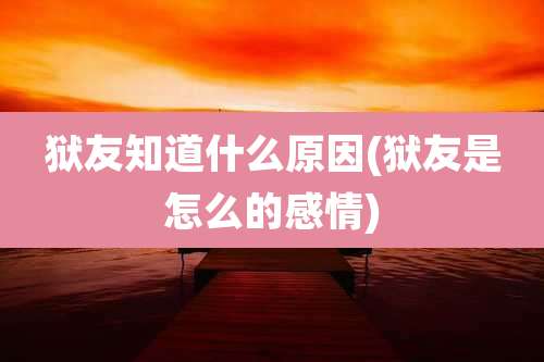 狱友知道什么原因(狱友是怎么的感情)