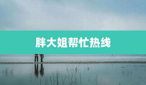 胖大姐帮忙热线