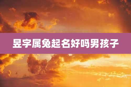 昱字属兔起名好吗男孩子