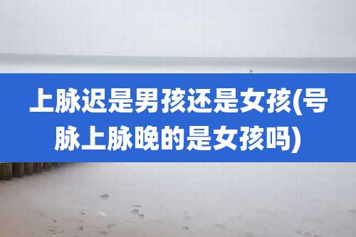 上脉迟是男孩还是女孩(号脉上脉晚的是女孩吗)