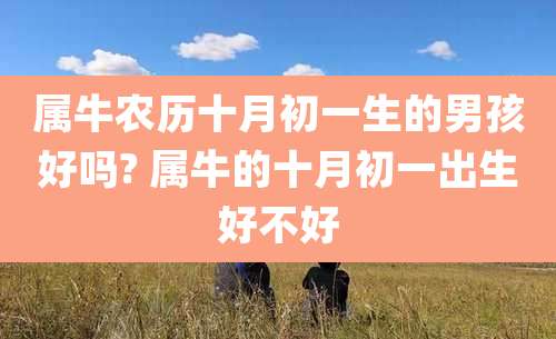 属牛农历十月初一生的男孩好吗? 属牛的十月初一出生好不好