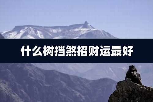 什么树挡煞招财运最好