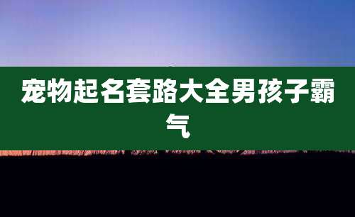 宠物起名套路大全男孩子霸气
