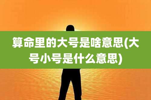 算命里的大号是啥意思(大号小号是什么意思)
