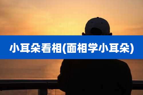 小耳朵看相(面相学小耳朵)