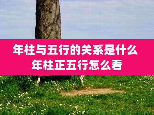 年柱与五行的关系是什么 年柱正五行怎么看