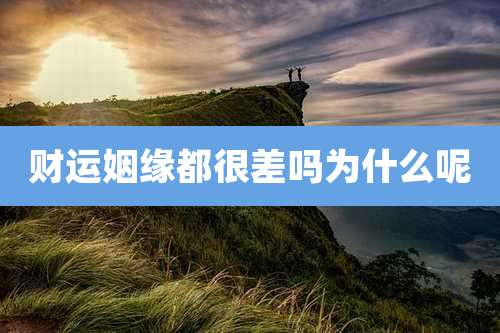 财运姻缘都很差吗为什么呢