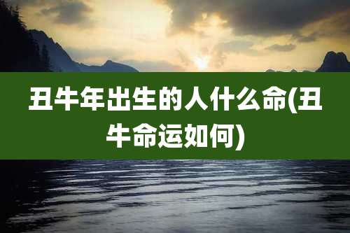丑牛年出生的人什么命(丑牛命运如何)