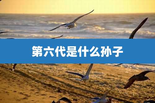 第六代是什么孙子