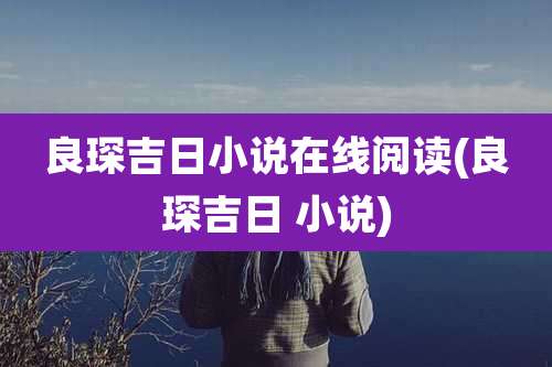 良琛吉日小说在线阅读(良琛吉日 小说)