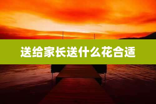 送给家长送什么花合适