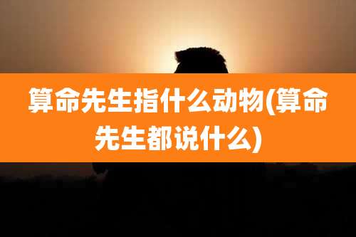 算命先生指什么动物(算命先生都说什么)