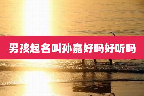 男孩起名叫孙嘉好吗好听吗