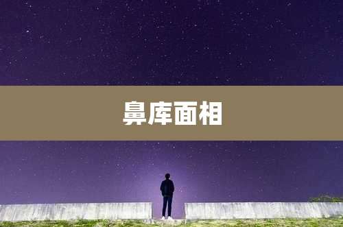 鼻库面相
