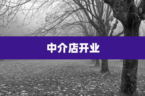 中介店开业