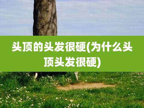 头顶的头发很硬(为什么头顶头发很硬)