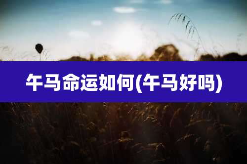 午马命运如何(午马好吗)