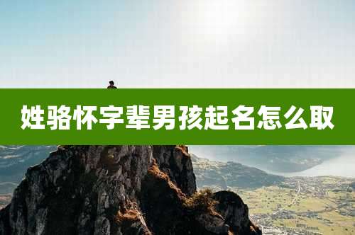 姓骆怀字辈男孩起名怎么取