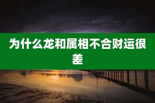 为什么龙和属相不合财运很差