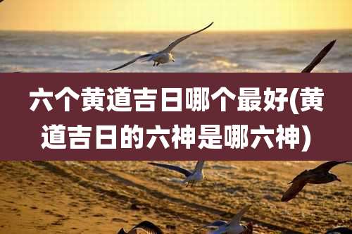 六个黄道吉日哪个最好(黄道吉日的六神是哪六神)