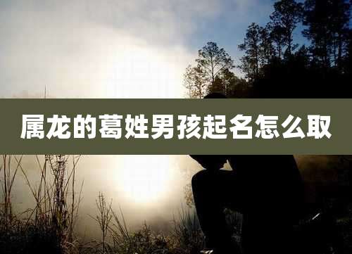 属龙的葛姓男孩起名怎么取