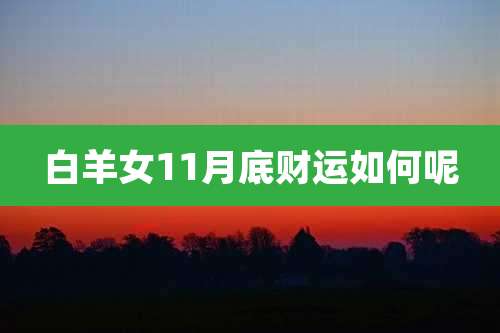 白羊女11月底财运如何呢