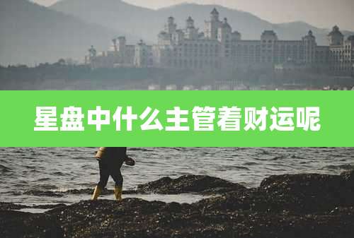 星盘中什么主管着财运呢